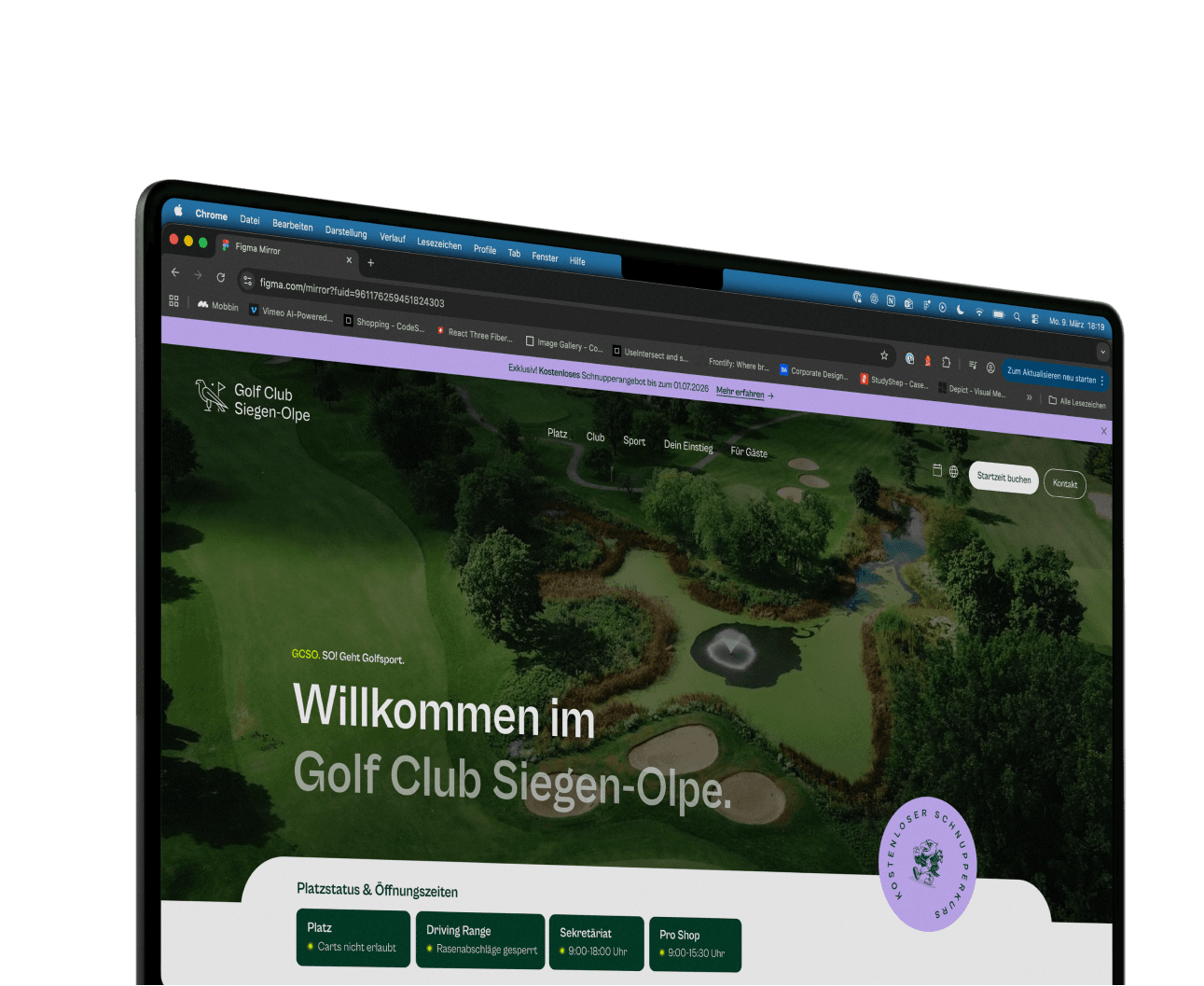 Website, Social Media